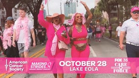 Making Strides Against Breast Cancer Walk
