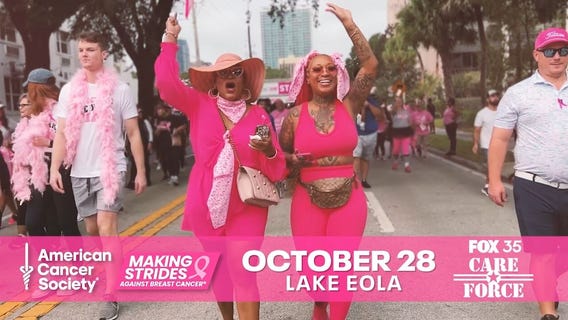 Making Strides Against Breast Cancer Walk