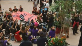 302 people arrested for protesting inside Senate office buildings, police say