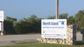 Some worry about SpaceX's expansion