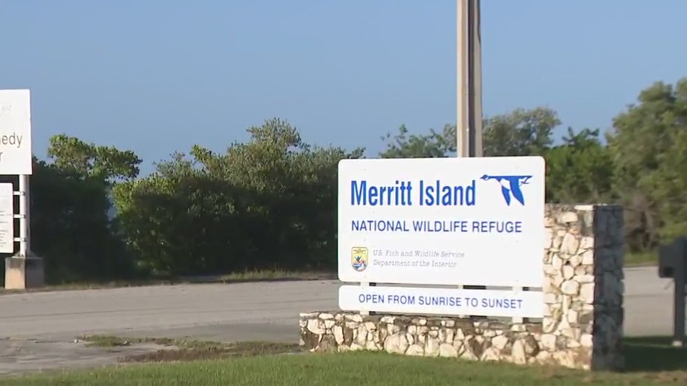 Some worry about SpaceX's expansion