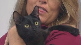 Adopt-A-Pet: Meet Otto and Char Man