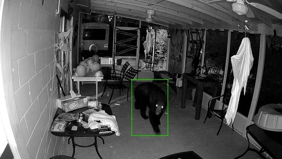 Bears wreak havoc on Leesburg home