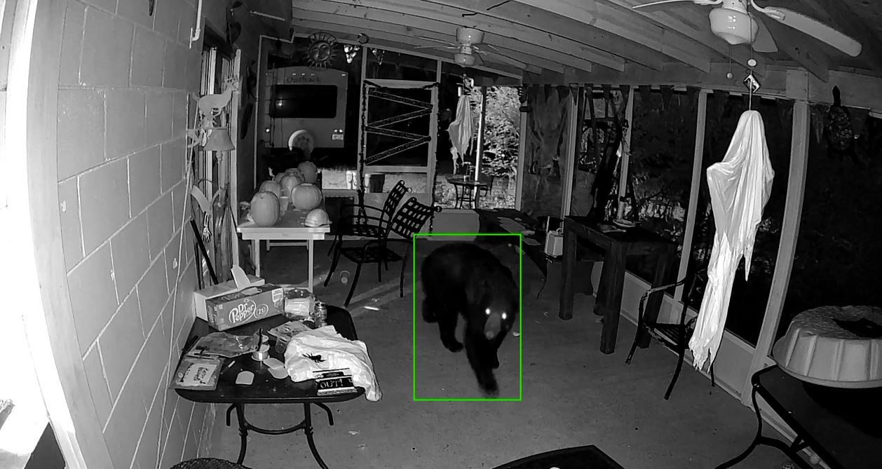 Bears wreak havoc on Leesburg home