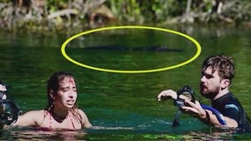 Gator bite was a 'case of mistaken identity'