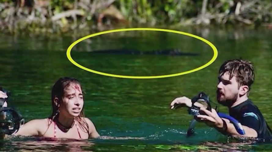 Gator bite was a 'case of mistaken identity'