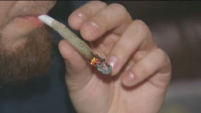 Traveling with THC, CBD this holiday season