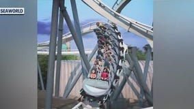 Checking out SeaWorld Orlando's Penguin Trek