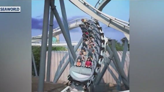 Checking out SeaWorld Orlando's Penguin Trek