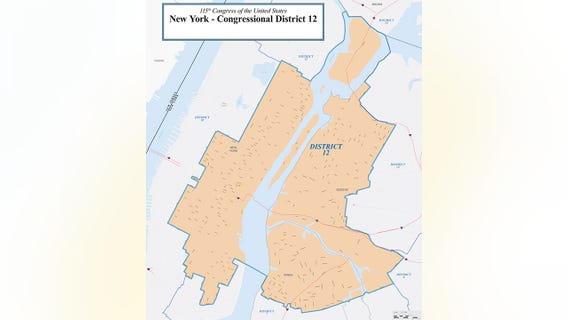 New York Primary: Maloney vs. Patel