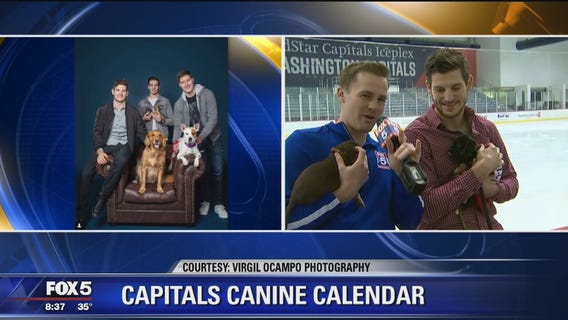 Caps' Nic Dowd talks about 2019 Capitals Canine Calendar