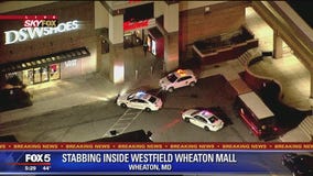 Person stabbed at Westfield Wheaton mall, police say