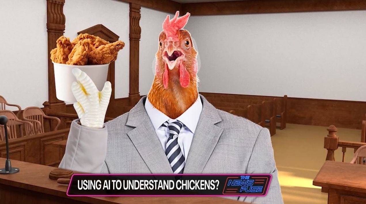 The News Fuse: Should we communicate with chickens?