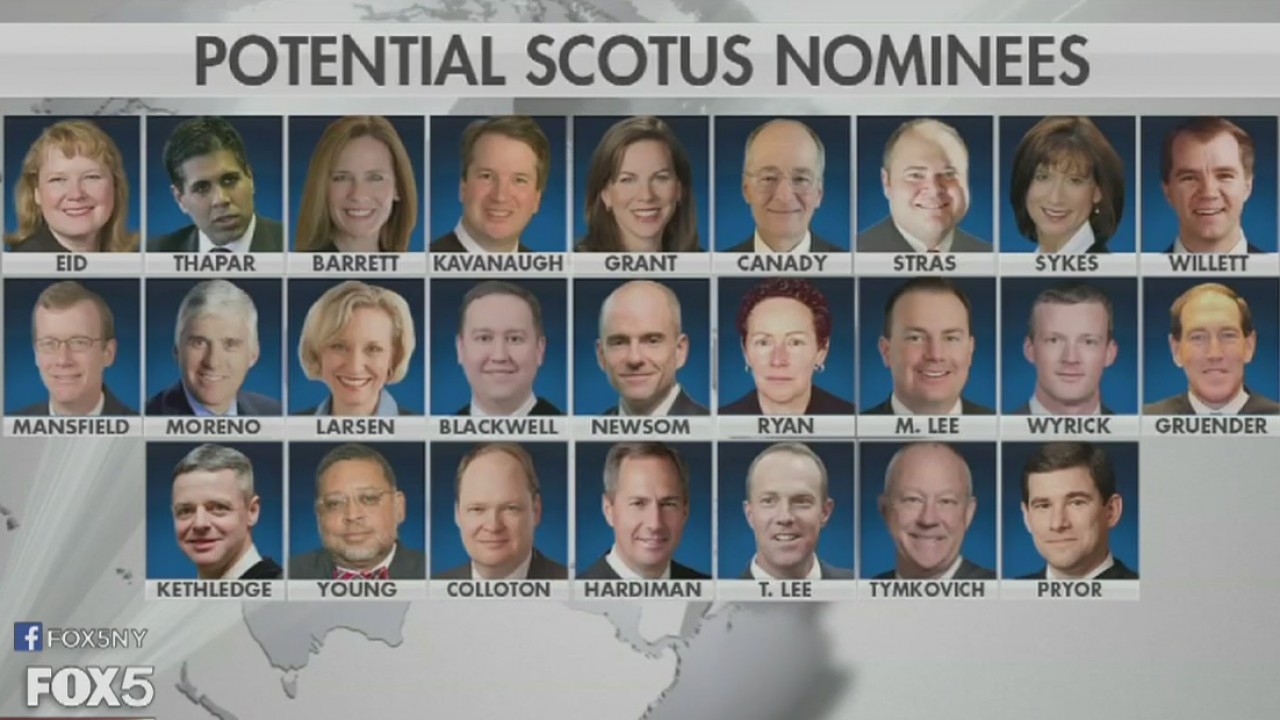 Potential Supreme Court nominees