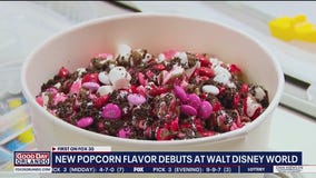 Walt Disney World has a new popcorn flavor