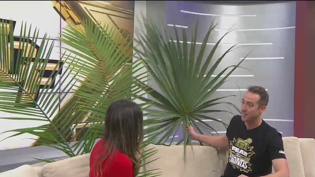 UCF fans enjoying 1st season in The Big 12