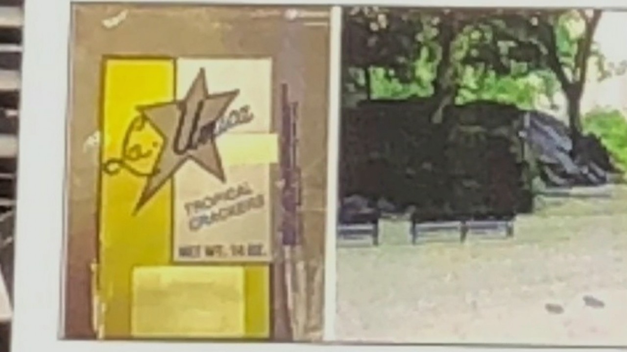 Central Park explosion probe