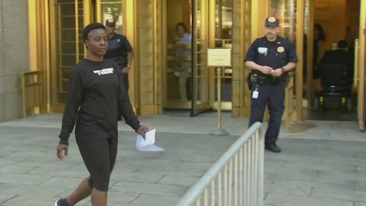 Statue of Liberty climber in court