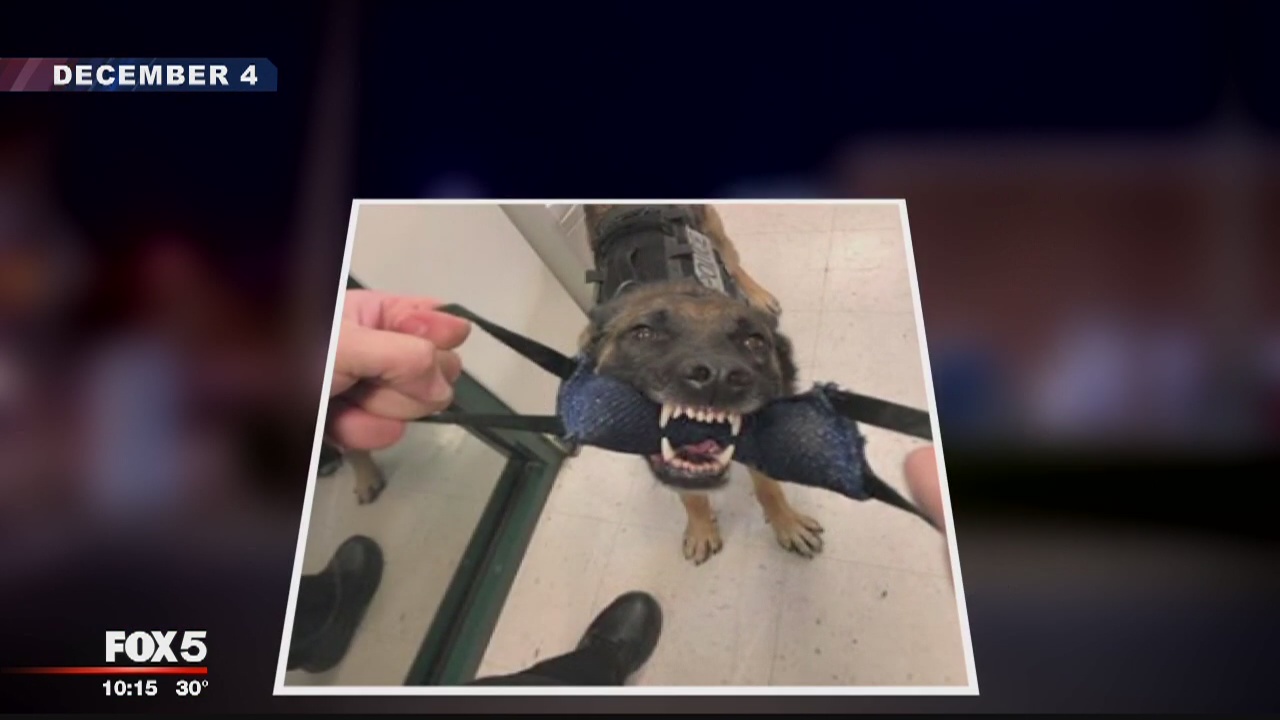Officials looking for answers nearly 2 months after Takoma Park police ...