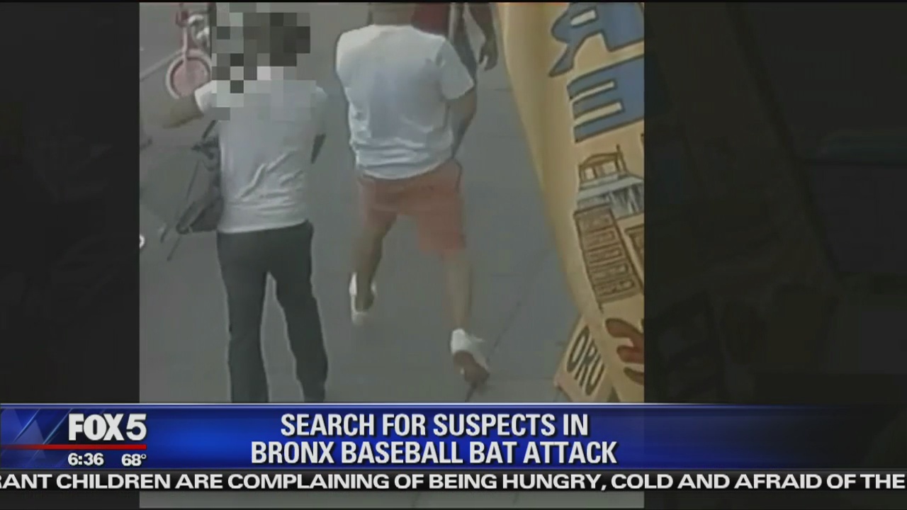 Vicious baseball attack