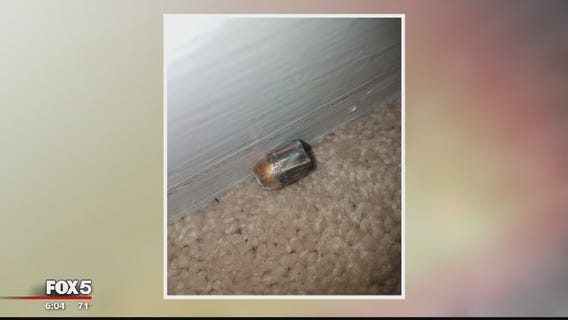 Dumfries home struck with 7 bullets overnight