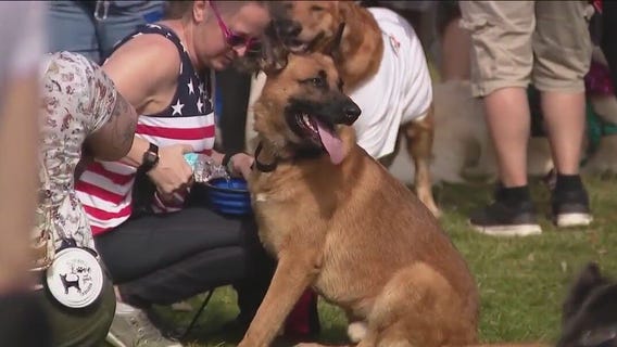 Lake Eola hosts Paws in the Park