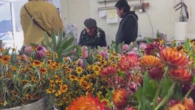 Cutting back on Valentine Day flower costs