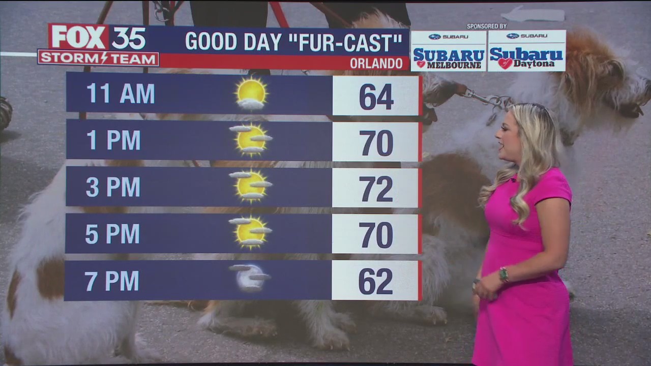 Orlando Weather Forecast: February 14, 2024