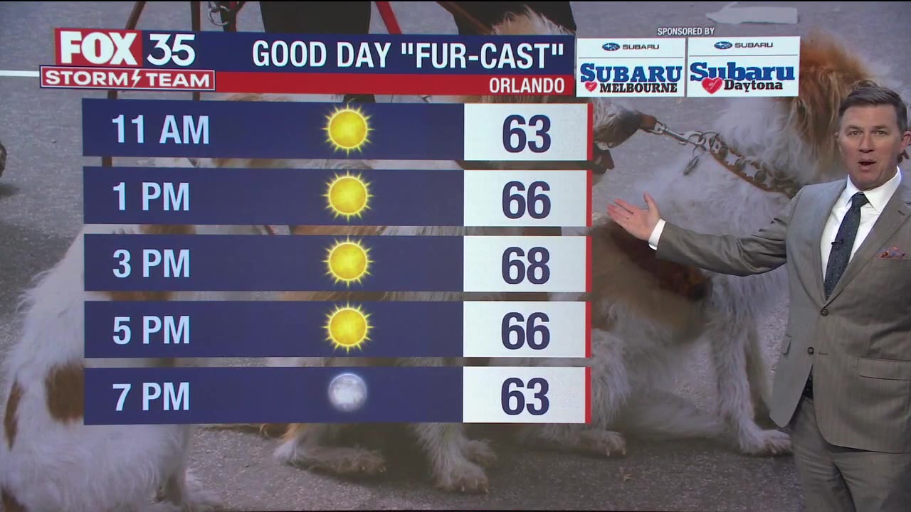 Orlando Weather Forecast: February 20, 2024