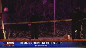 Human remains found on side of Bethesda road