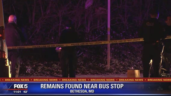 Human remains found on side of Bethesda road