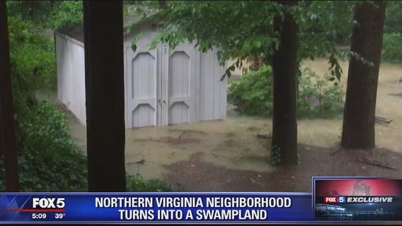 Northern Virginia neighborhood turns into swampland