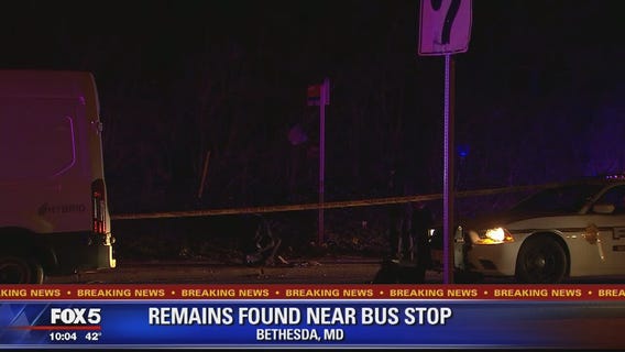 Human remains found on side of Bethesda road