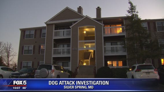 Woman attacked by dog in Silver Spring, police say