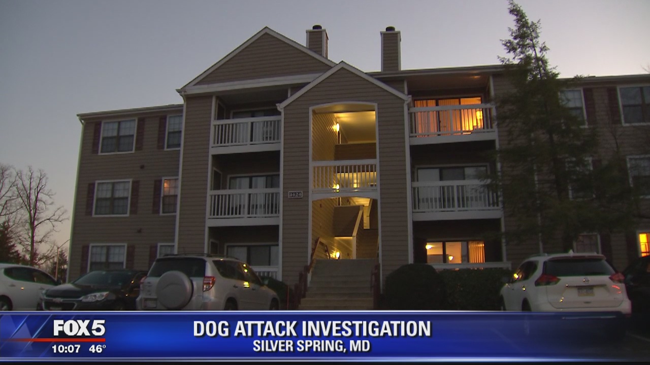 Woman attacked by dog in Silver Spring, police say