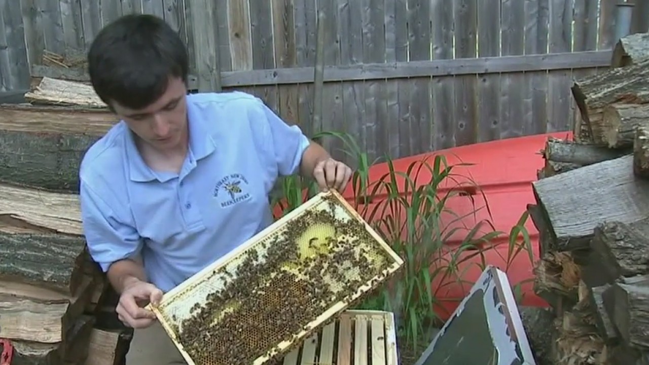 Concierge beekeeping service