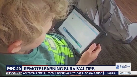 Tips for surviving remote learning