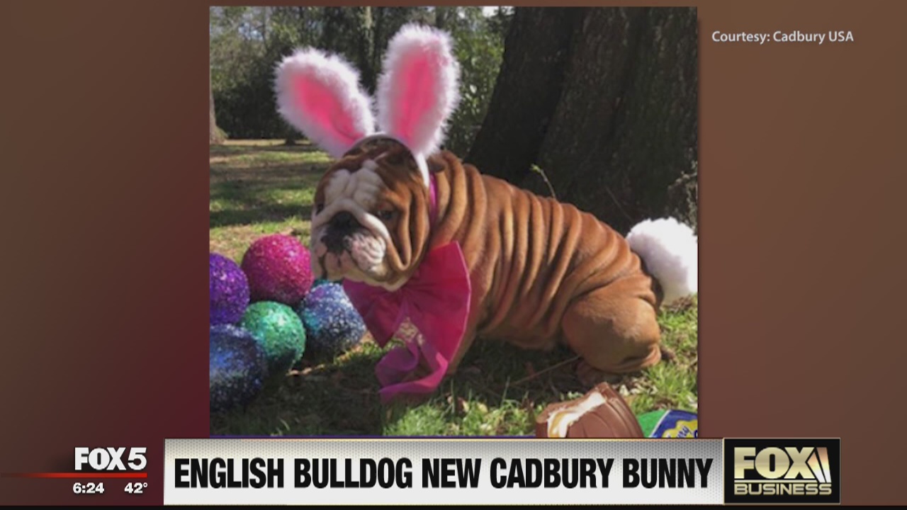 FOX Business Beat: New Apple Services; Next Cadbury 'Bunny'