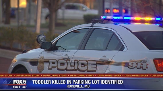 Toddler dead after being struck by vehicle