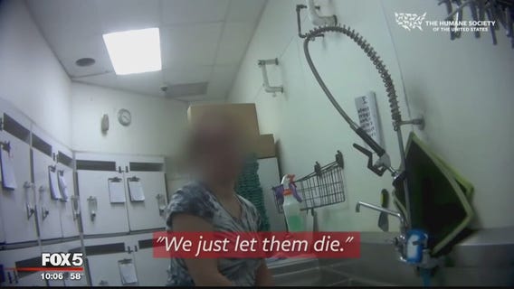 Petland store shuts down amid investigation