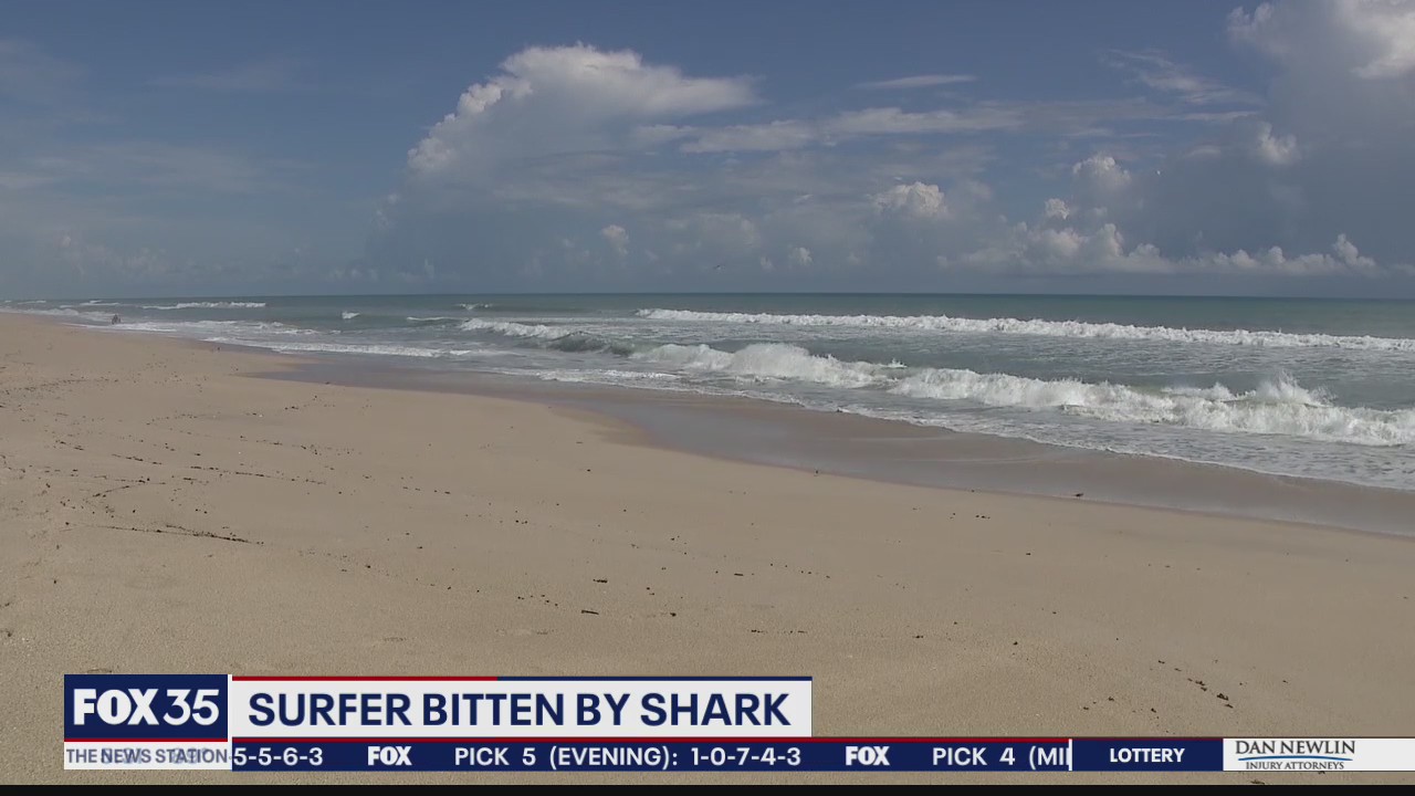 Surfer bitten by shark