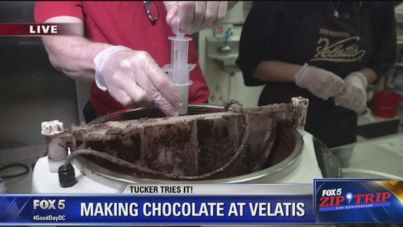 Silver Spring | Zip Trip: 'Tucker Tries It' Making Chocolate at Velatis