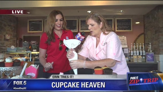 Haymarket | Zip Trip: Cupcake Heaven