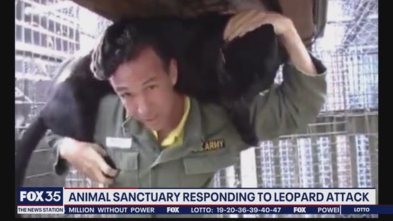 Animal sanctuary responds to leopard attack