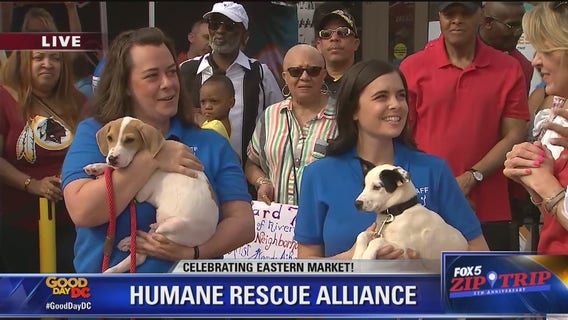 Eastern Market | Zip Tip: Humane Rescue Alliance