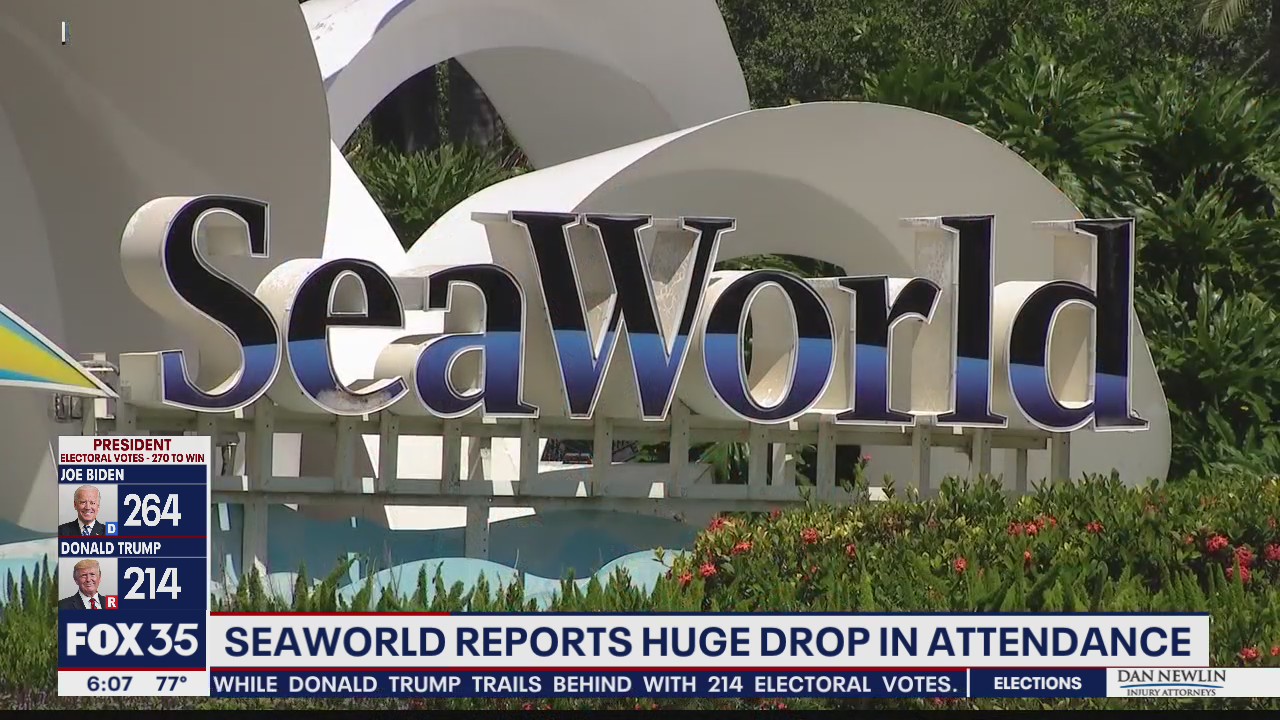SeaWorld reports huge drop in attendance
