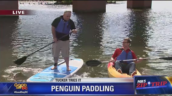 Occoquan | Zip Trip: Tucker Tries It!