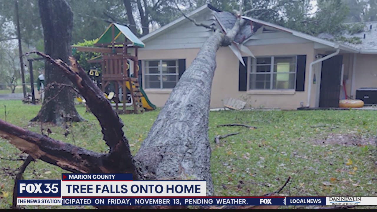 Tropical Storm Eta leaves behind damage, flooding