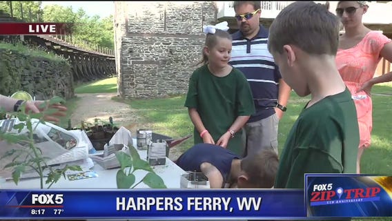 Harpers Ferry | Zip Trip: Victory Gardens!