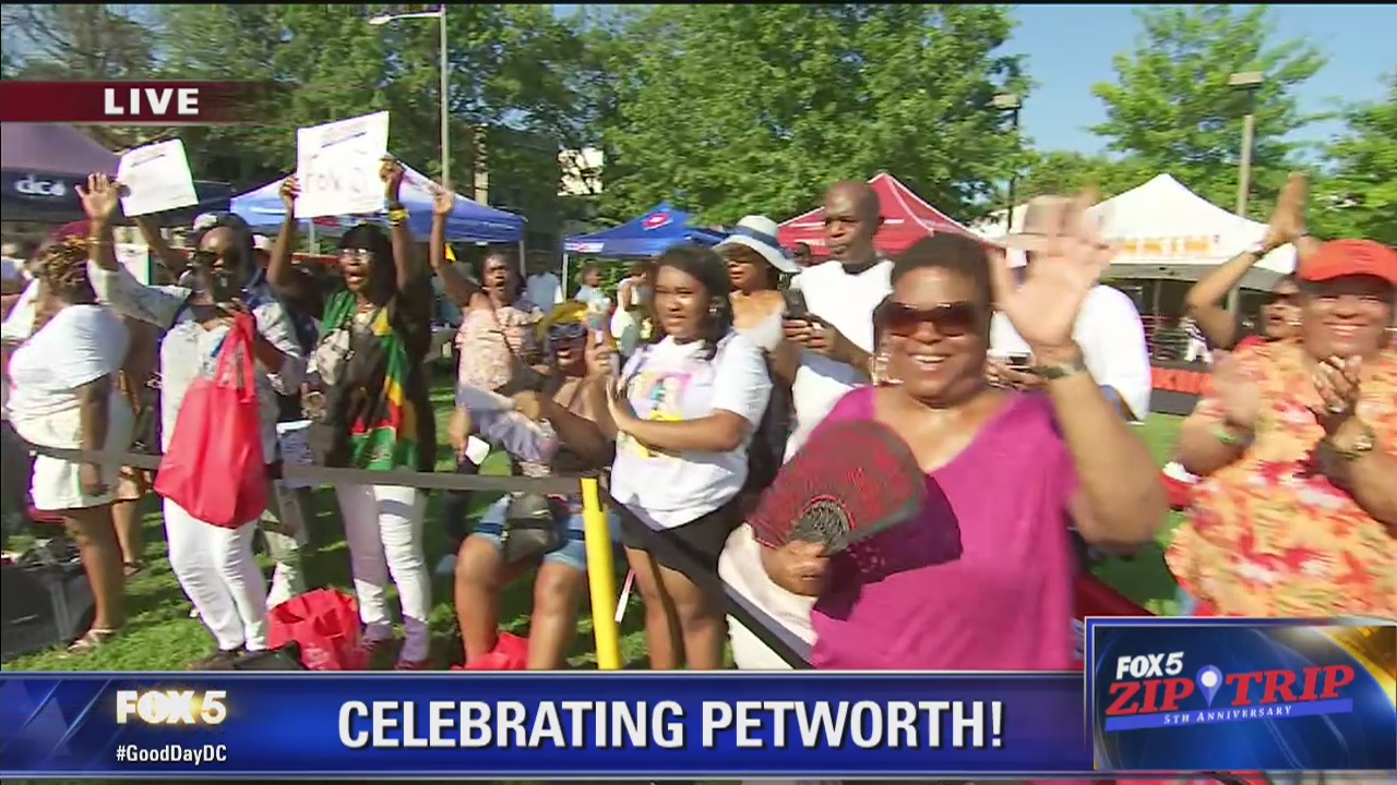 Petworth | Zip Trip: Fun With The Fans!